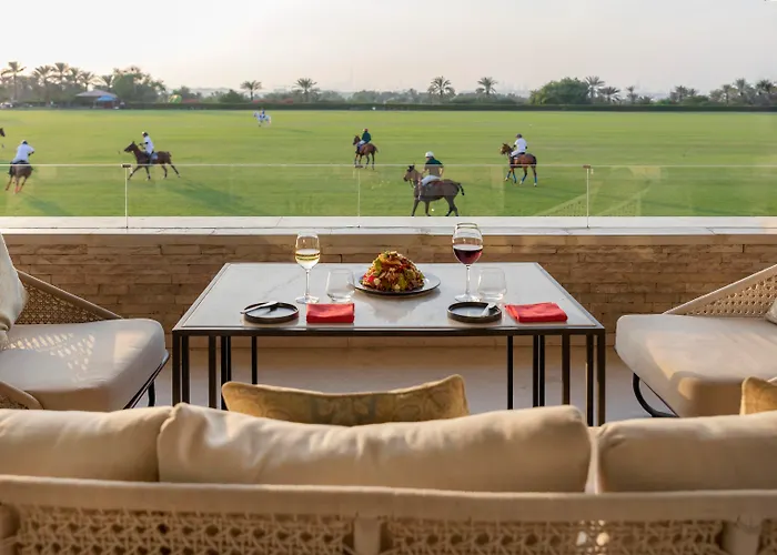 Melia Desert Palm Member Of Melia Collection